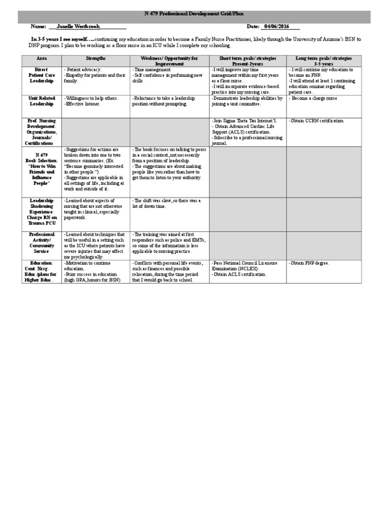 Professional Development Grid | PDF | National Council Licensure ...