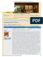 Construcción de Cuerno de Polvora -La Asociación de avancarga tradicional.pdf