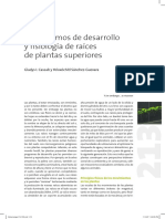 Mecanismos de Desarrollo y Fisiología de Raíces de Plantas Superiores
