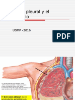 Laboratorio Clínico - Derrame Pleural