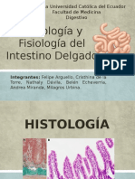 Histología y Fisiología Del Intestino Delgado