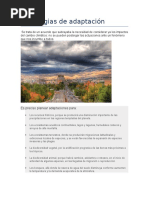 Estrategias de Adaptación