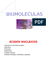 Acidos Nucleicos