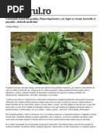 Leusteanul Leacul Gradina Planta Hipotensiva Lupta Virusii Bacteriile Paraziti