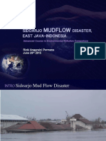 Environmental Pollution in Indonesia (Mudflow Disaster)