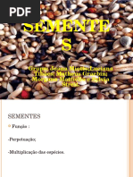 Sementes_1.ppt