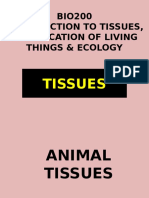 BIO200 Introduction To Tissues, Clasification of Living Things & Ecology
