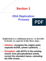 3 DNA Replication End