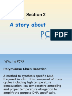 PCR