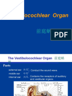 2014 17.vestibulochlear Organ