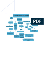 Doc2 MAPA CONCEPTUAL