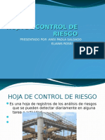 HOJA DE CONTROL DE RIESGO - Odp