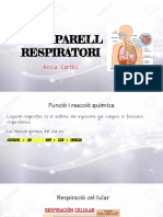 u3. l’Aparell Respiratori