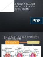 Desarrollo Inicial Del Corazon y Los Vasos Sanguineos