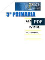 Algebra IV Bim