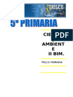 CTA. II BIM