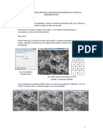 Filtros Expansión de Contraste Creación de Una Imagen Ndvi y Uso de La Herramienta Ndvi