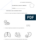 EXAMENES-BIMESTRALES