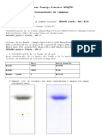 Procesamiento de imágenes BIOQ251