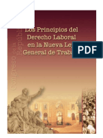 Los Principios de Derecho Laboral en La Nueva Ley General de Trabajo