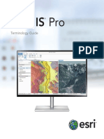 ArcGIS Pro Terminology Guide