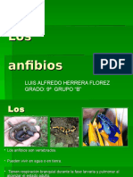 Los Anfibios-luis Alfredo Herrera