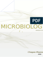 Enfermedad de Chagas: Características, transmisión, diagnóstico y tratamiento