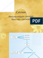 Calcium and The Metabolism/ Interpretation Clinical Data of Calcium