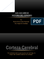 Breve Historia Del Cerebro 