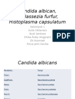 Candida Albican, Mallassezia Furfur, Histoplasma Capsulatum