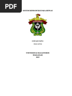 Download Sistem Reproduksi Hewan by Lola SN310614333 doc pdf