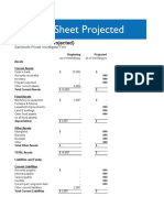 Balance Sheet-Takoda Bobby