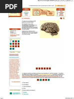 LE CERVEAU by Lecerveau.mcgill.ca