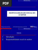 Responsabilidade Dos Auditores