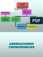 ABERRACIONES CROMOSOMICAS