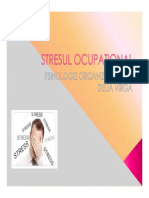 Sresul Ocupational - c6 PDF