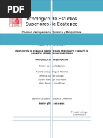 PROTOCOLO-FINAL.docx