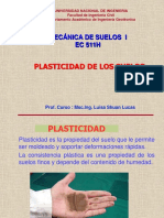 PLASTICIDAD_Luisa Shuan.pdf