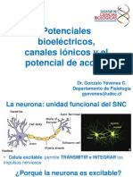 Potenciales Bioeléctricos