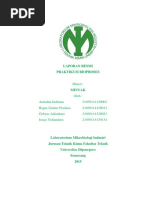Download LAPORAN RESMI p3 by GebyarAdisukmo SN310734571 doc pdf