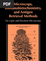 Download IHC by Nabilsalmo SN31074180 doc pdf