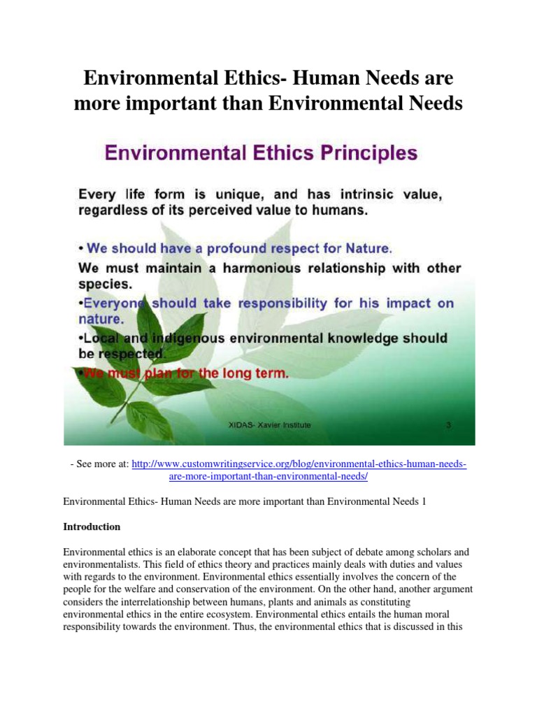 environmental ethics assignment pdf