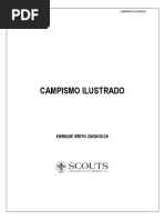 Download Campismo Ilustrado Completo by Natalia Carolina Bistolfi SN310751427 doc pdf