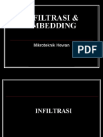 Infiltrasi &amp; Embedding-ppt