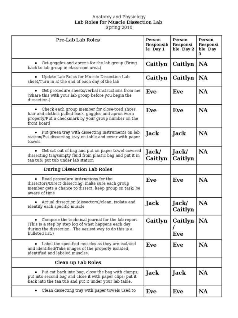 Lab Roles for Muscle Dissection | PDF