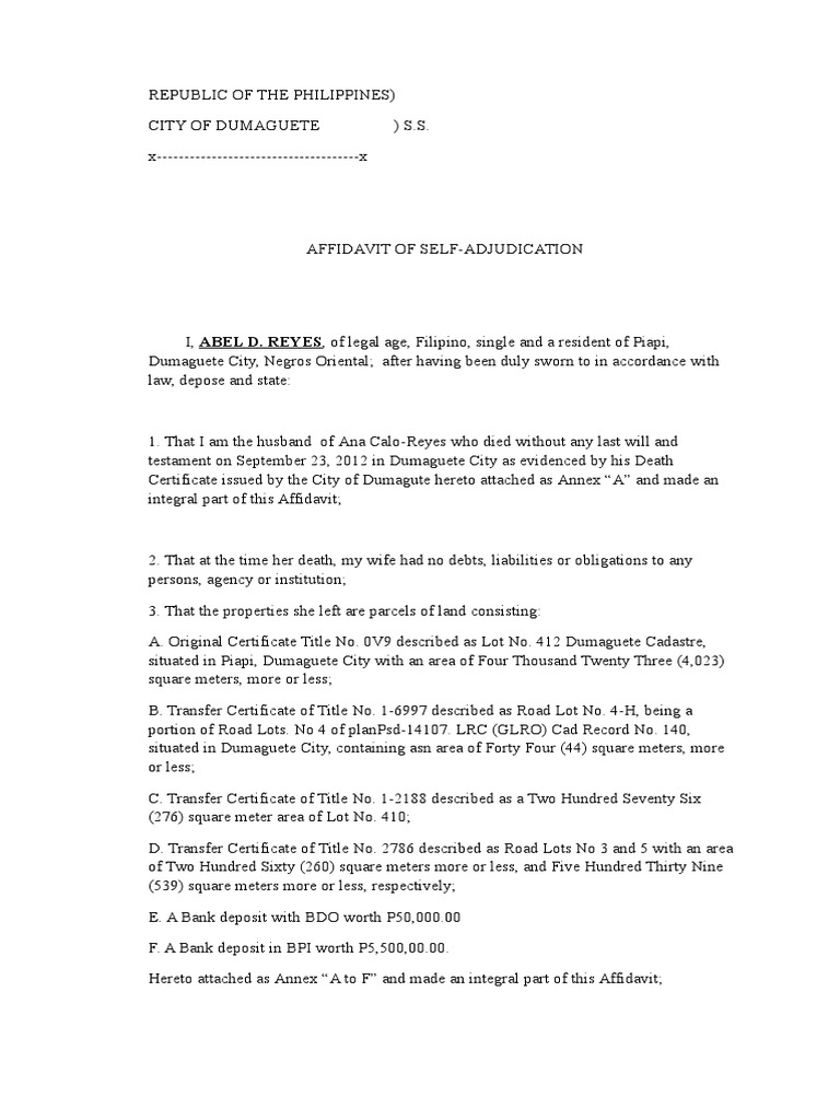 Affidavit Self Adjudication PDF