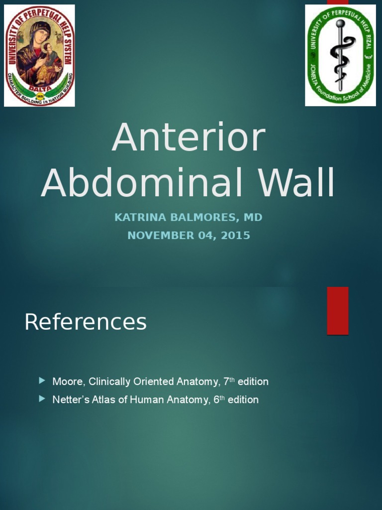 Anatomy of the Anterior Abdominal Wall | PDF | Abdomen | Pelvis