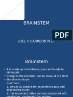 Brainstem: Joel P. Carreon M.D