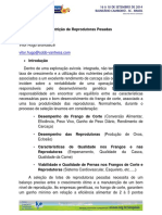 7 - Vitor Hugo Brandalize PDF