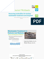 constructed wetlands ssm final presentation